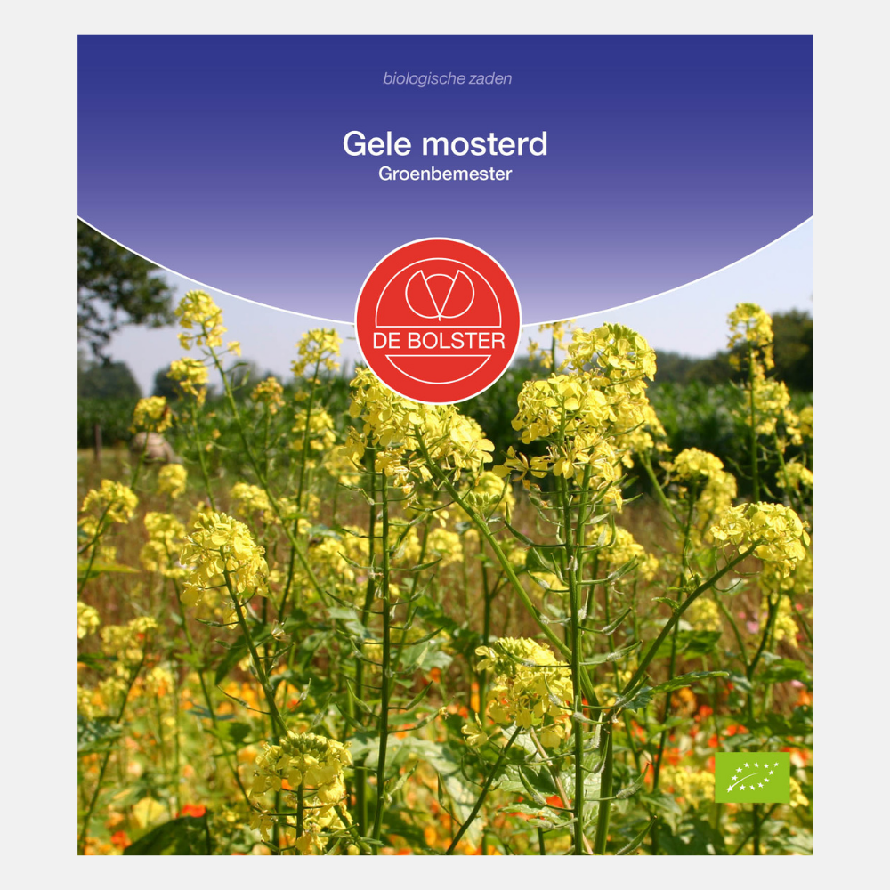 Moutarde jaune - Engrais vert BIO