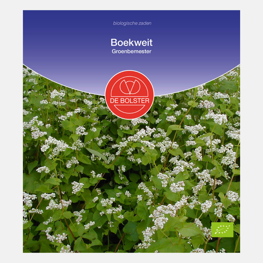 Sarrasin - Engrais vert BIO