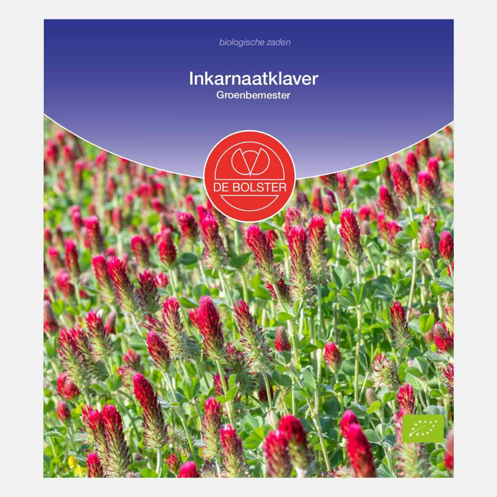 Trèfle incarné - Engrais vert BIO