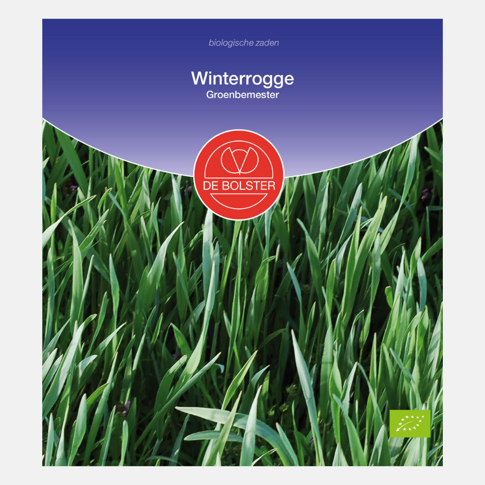 Seigle d'hiver - Engrais vert BIO