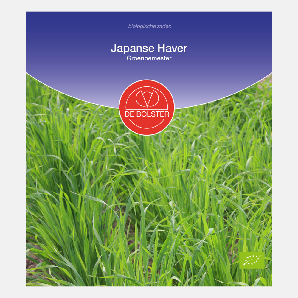 Avoine japonaise - Engrais vert BIO