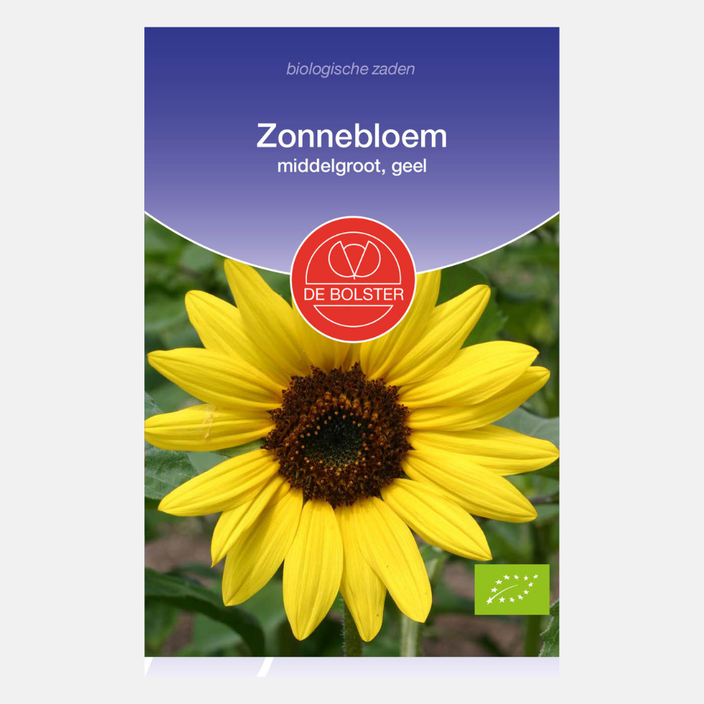 Sunflower, medium, yellow BIO