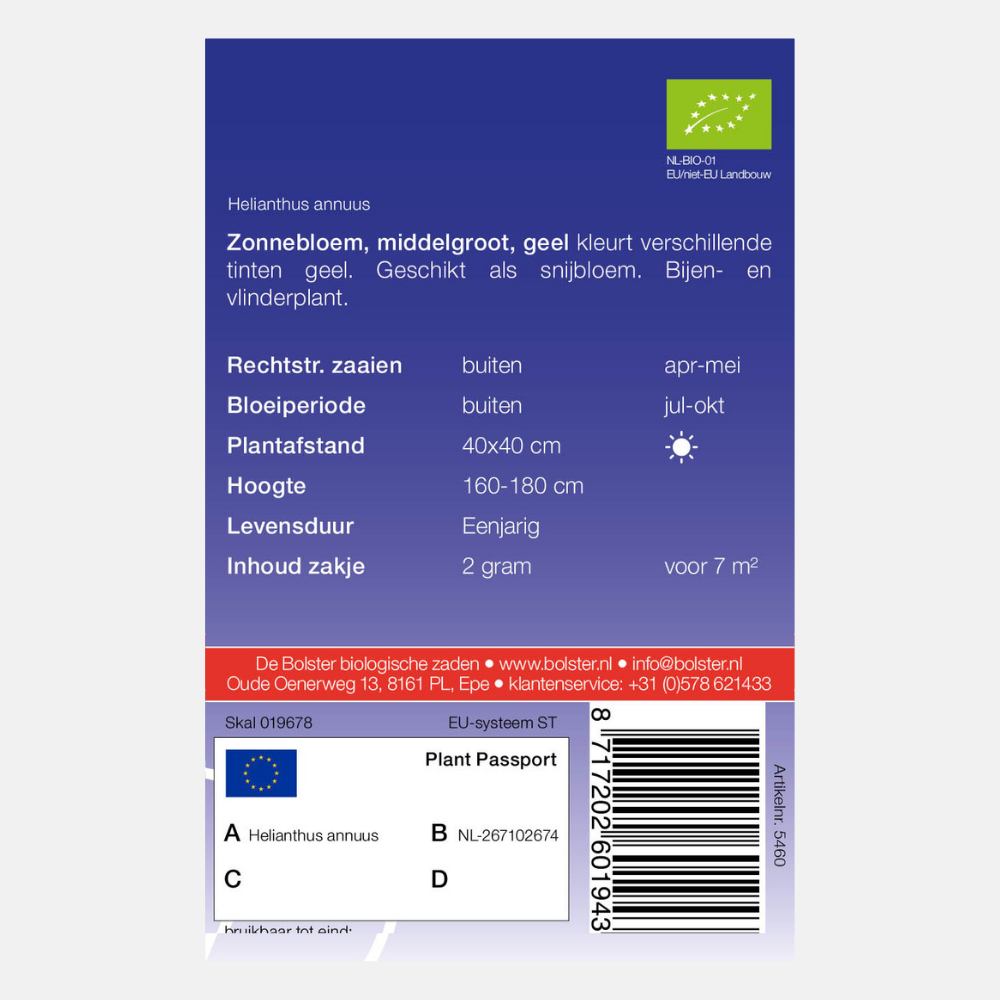 Sunflower, medium, yellow BIO