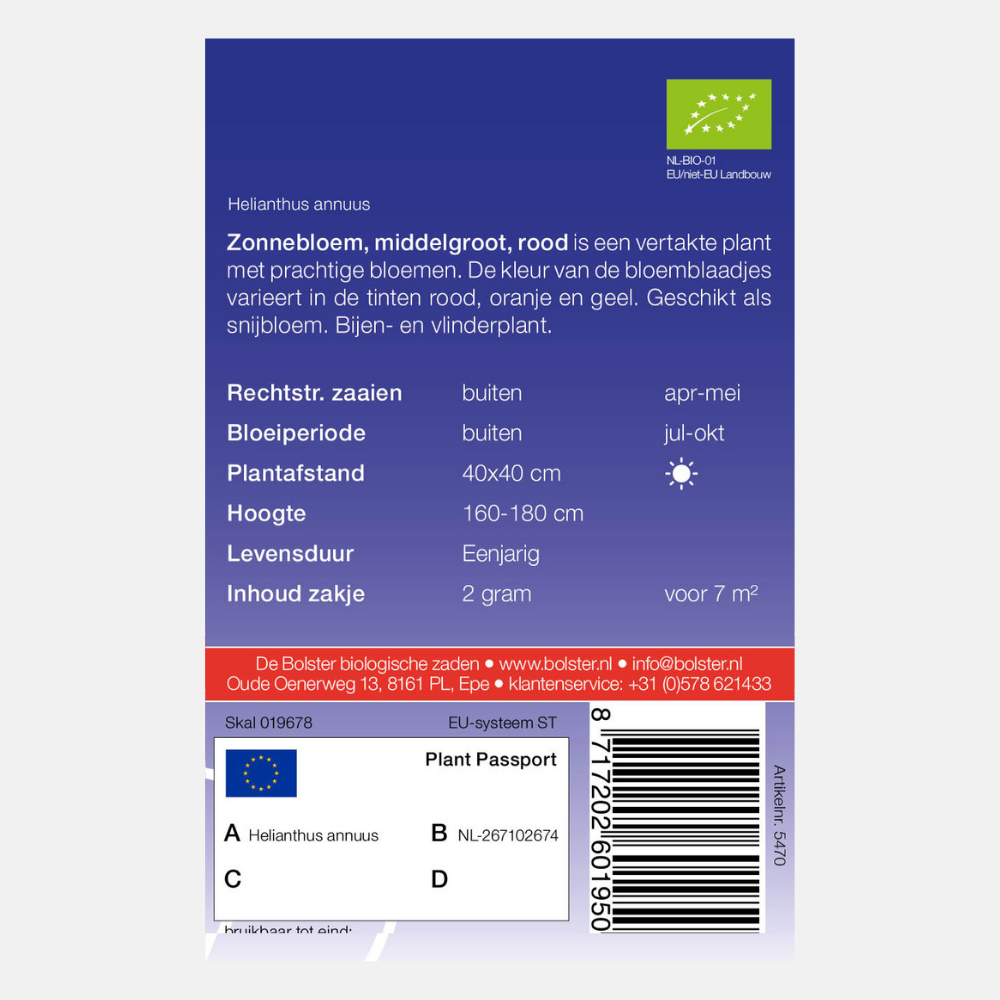 Sunflower, medium, red BIO