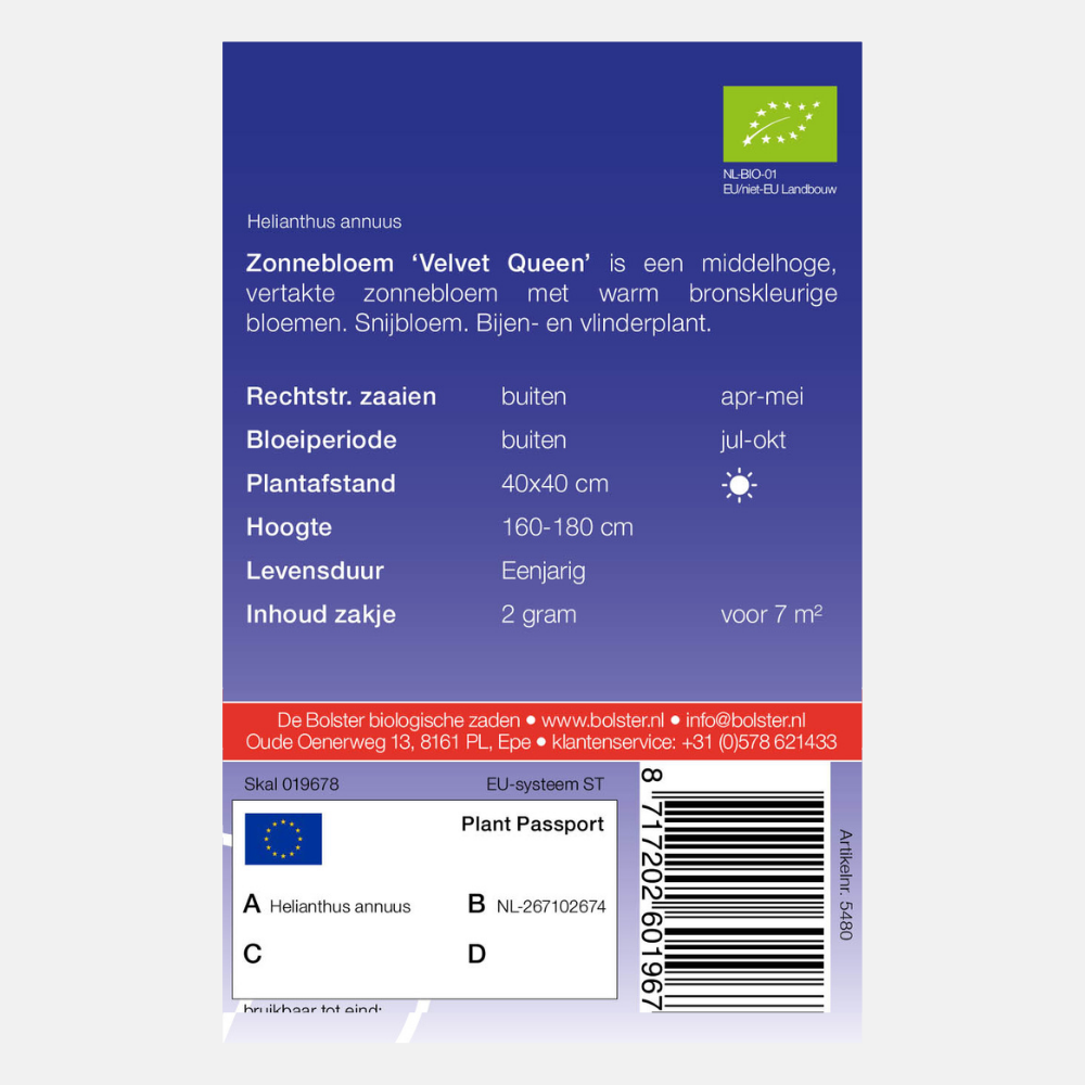 Sunflower 'Velvet Queen' BIO