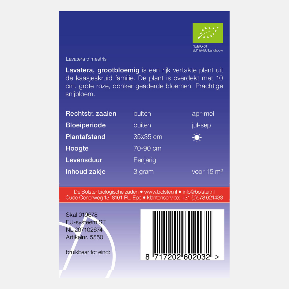 Lavatère à grandes fleurs BIO