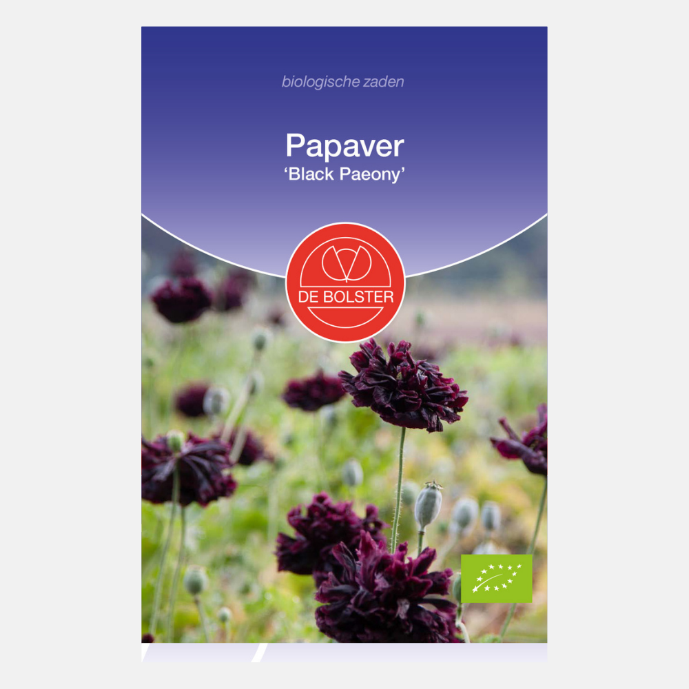 Poppy 'Black Paeony' BIO
