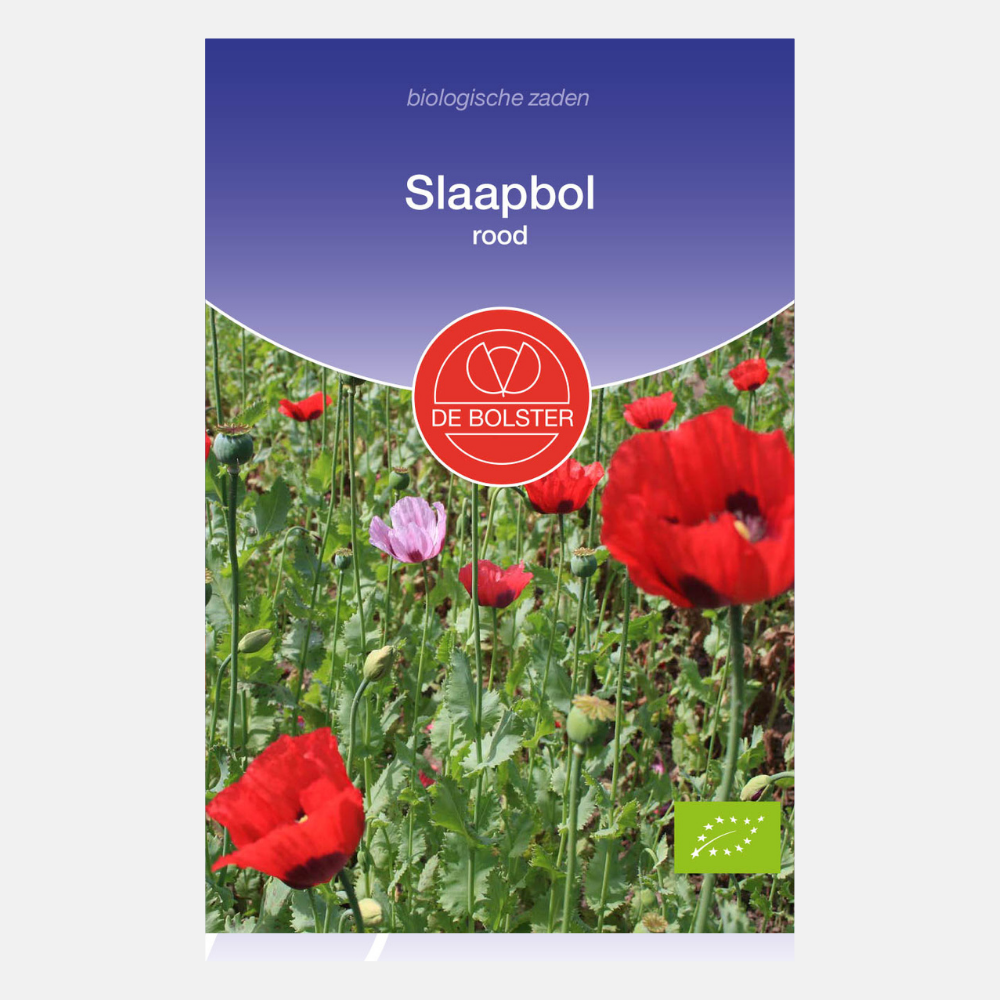 Opium poppy, red BIO