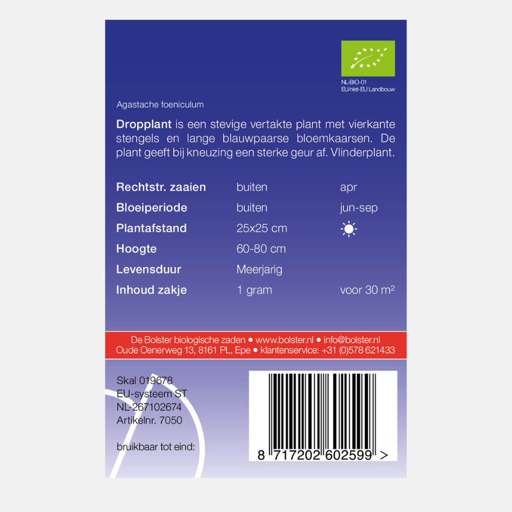 Plante de réglisse BIO