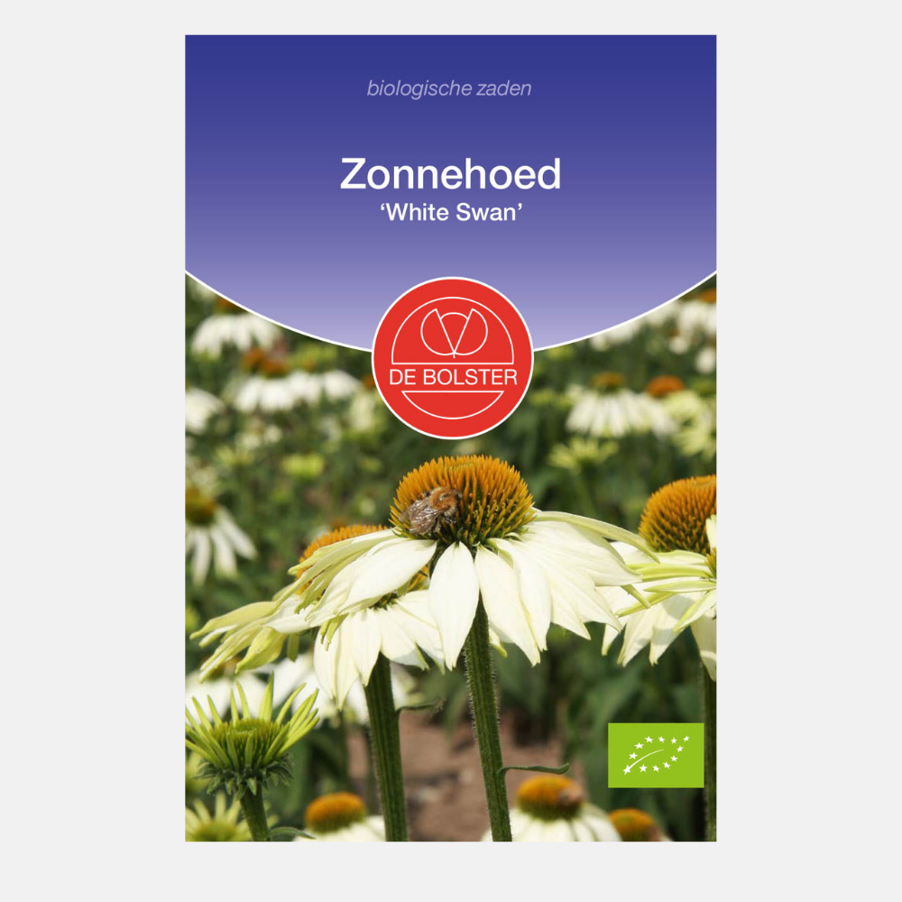 Coneflower 'White Swan' BIO