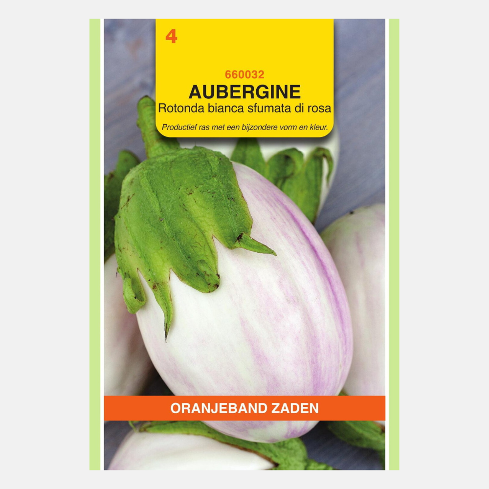 Aubergine 'Rotonda bianca sfumata di rosa'