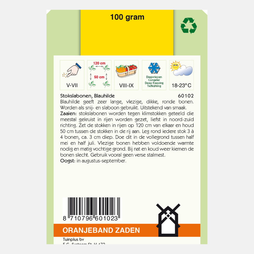 Haricot à rames violet 'Blauhilde'