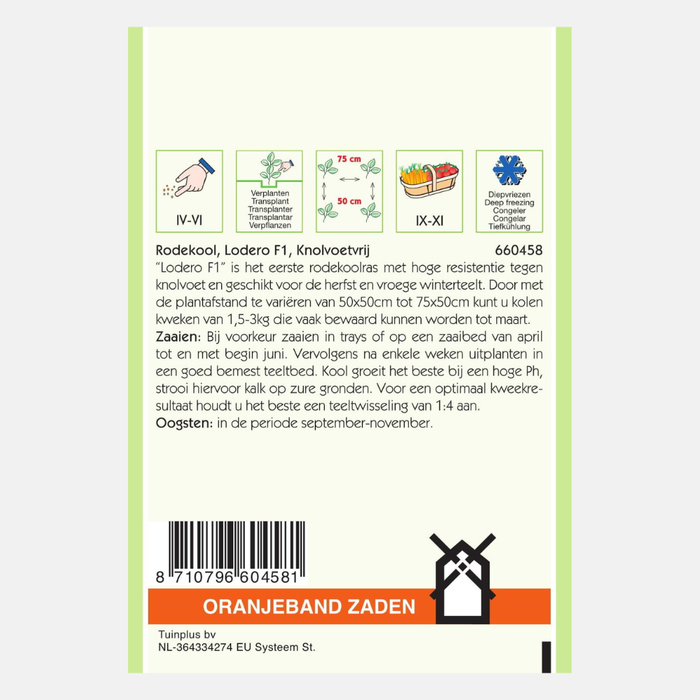 Red cabbage 'Lodero' F1 Clubroot free