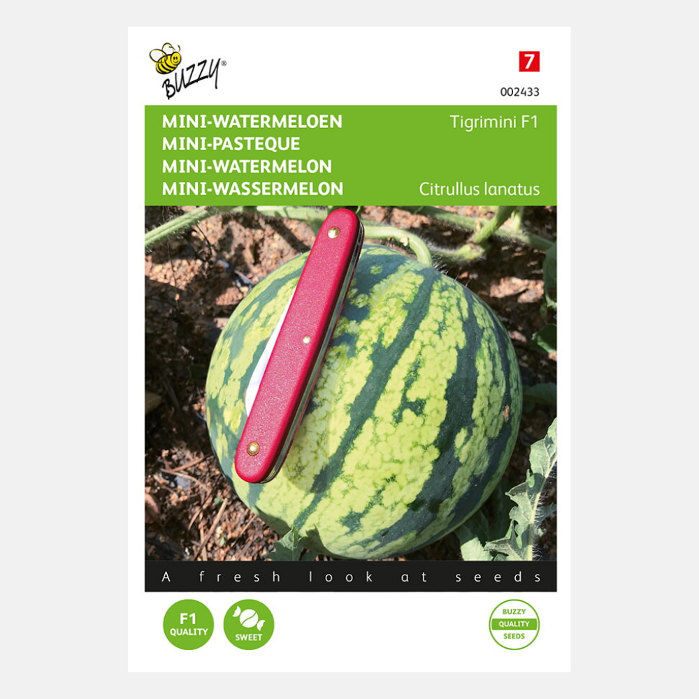 Pastèque mini 'Tigrimini' F1