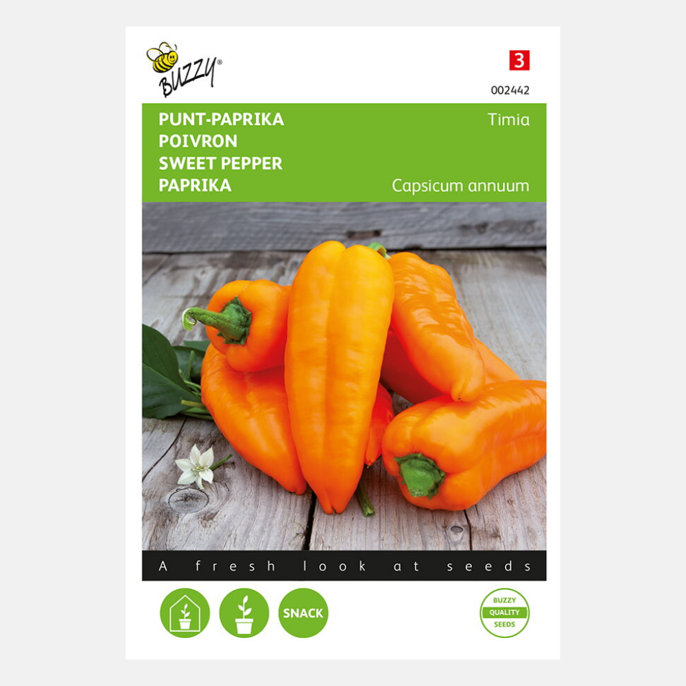 Piment pointu 'Timia'