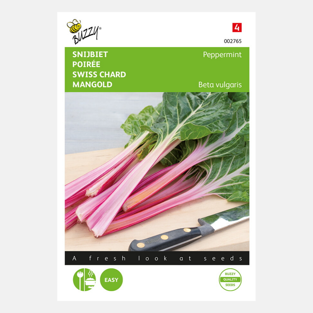 Blette 'Menthe poivrée'