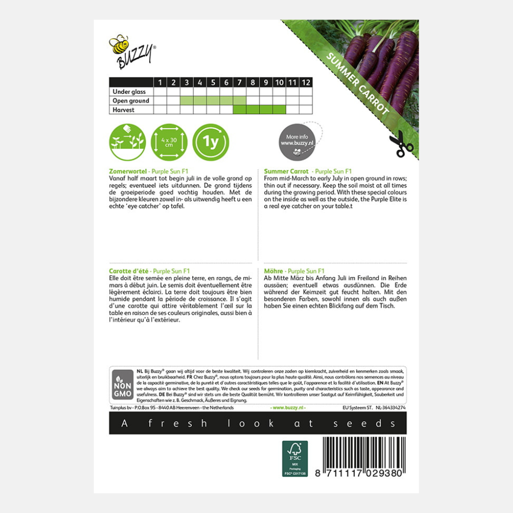 Carottes 'Purple Elite' F1