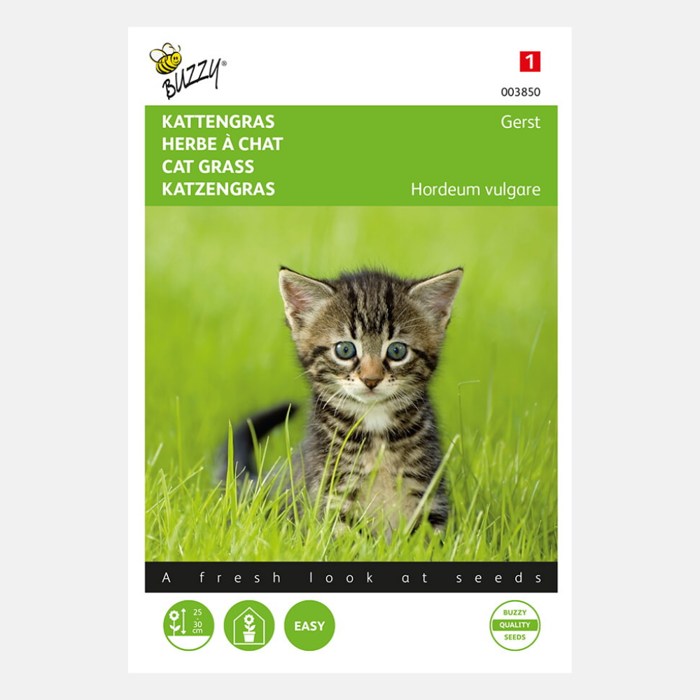 Kattengras/Gerst