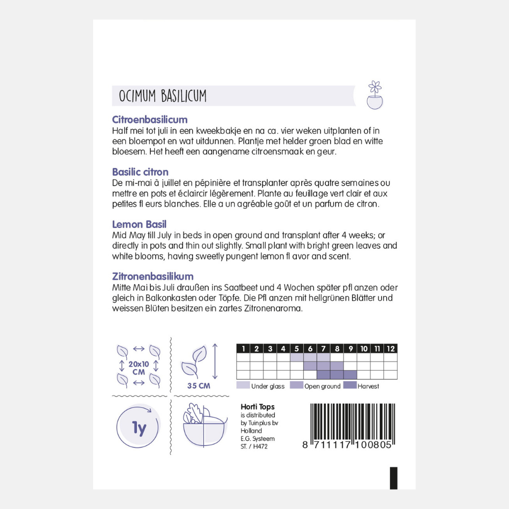 Basilic citronné 'Basilic citronné'