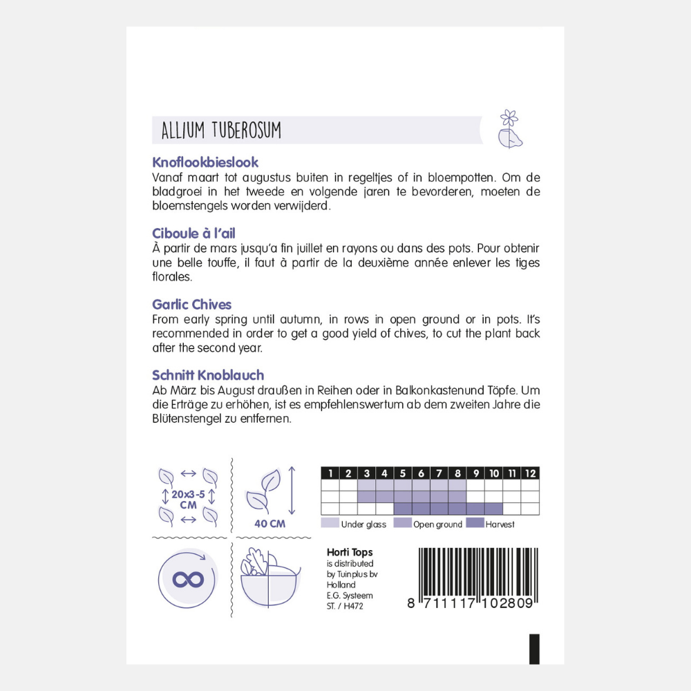 Chinese Garlic Chives