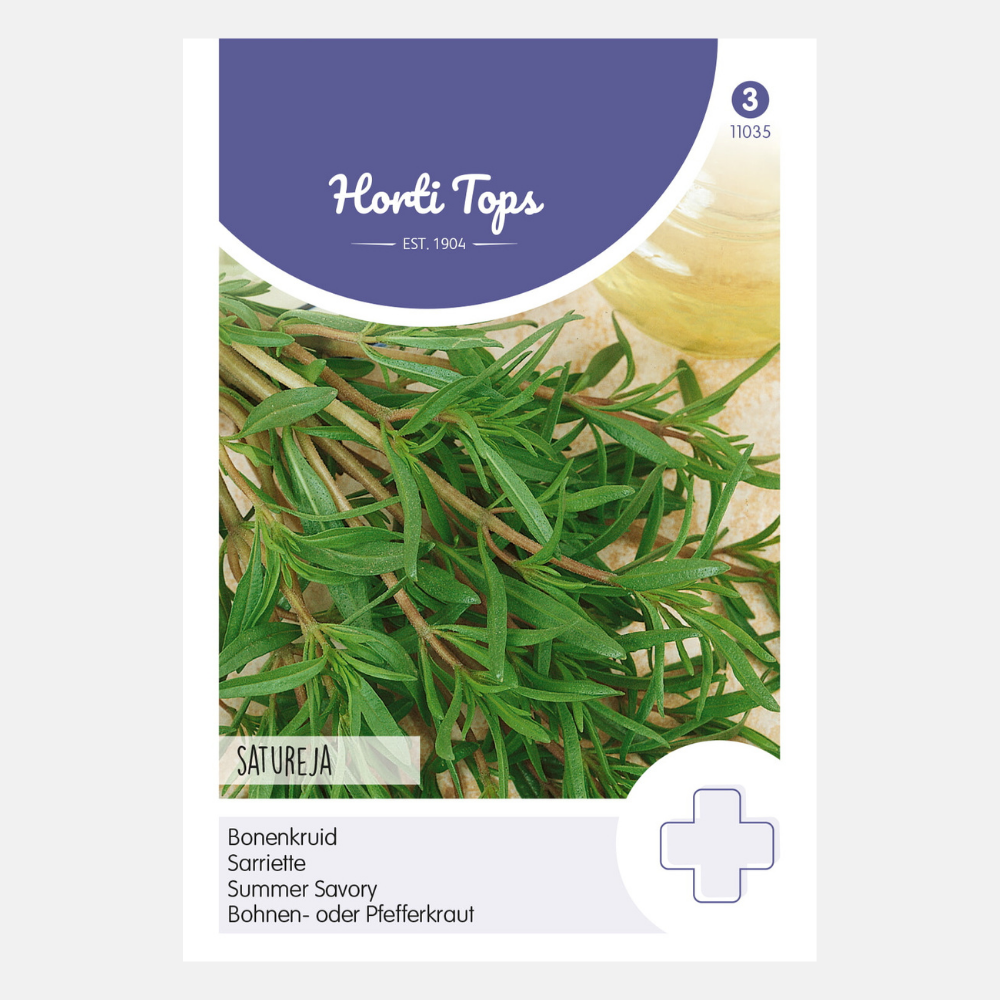 Sarriette - annuelle