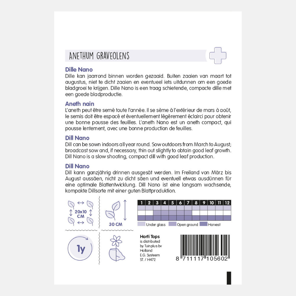 Aneth 'Nona' - variété à croissance compacte