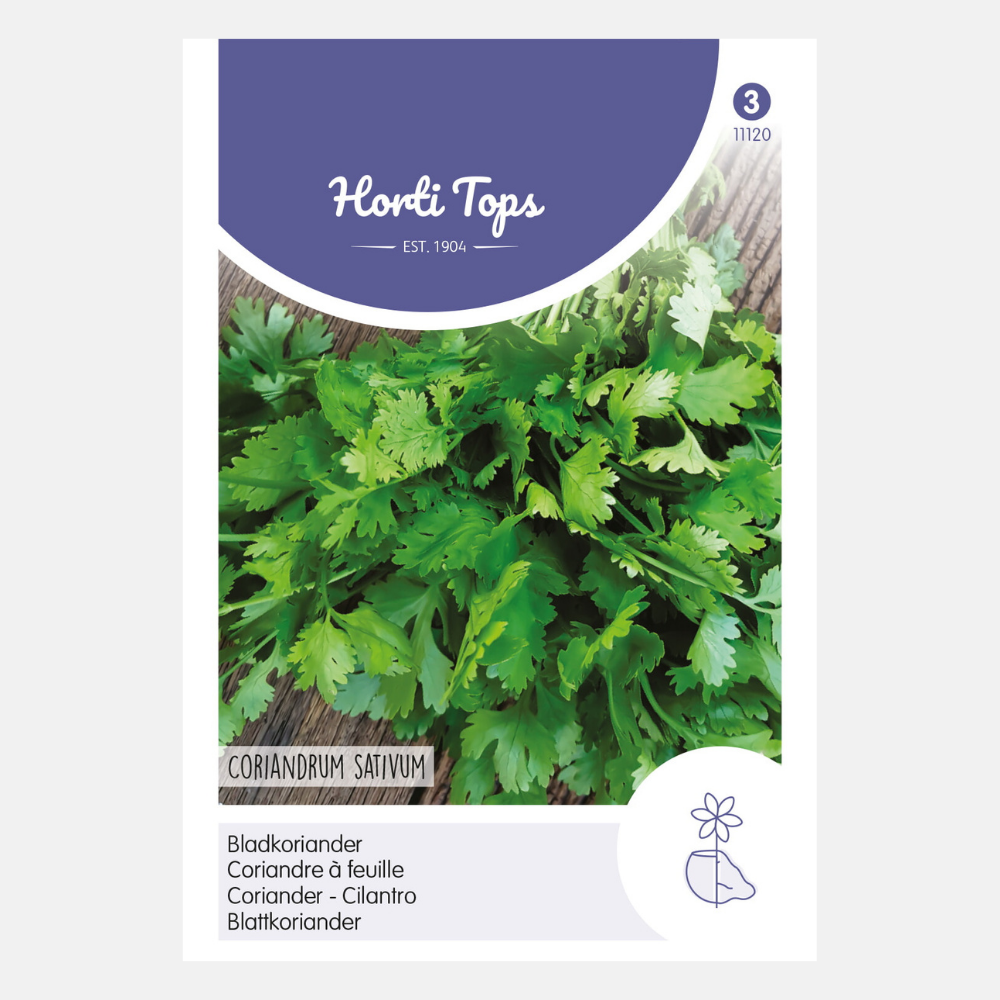 Bladkoriander