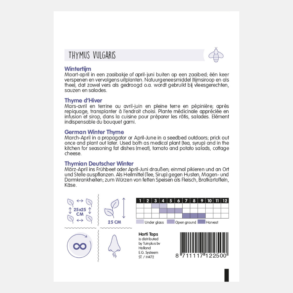 Thyme 'German Winter'