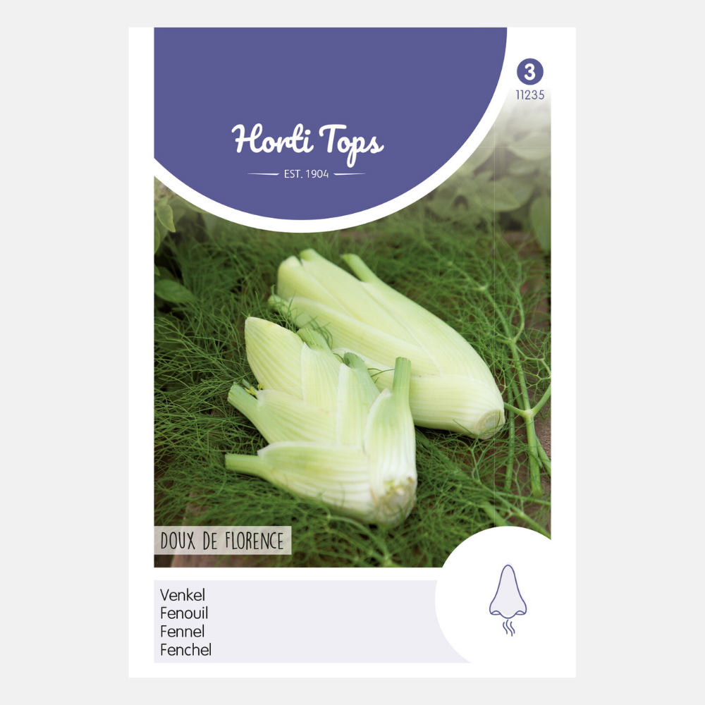 Fenouil 'Doux De Florence'