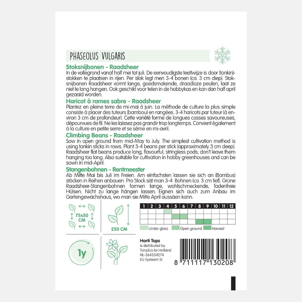 Runner beans 'Raadsheer' - Veense type.