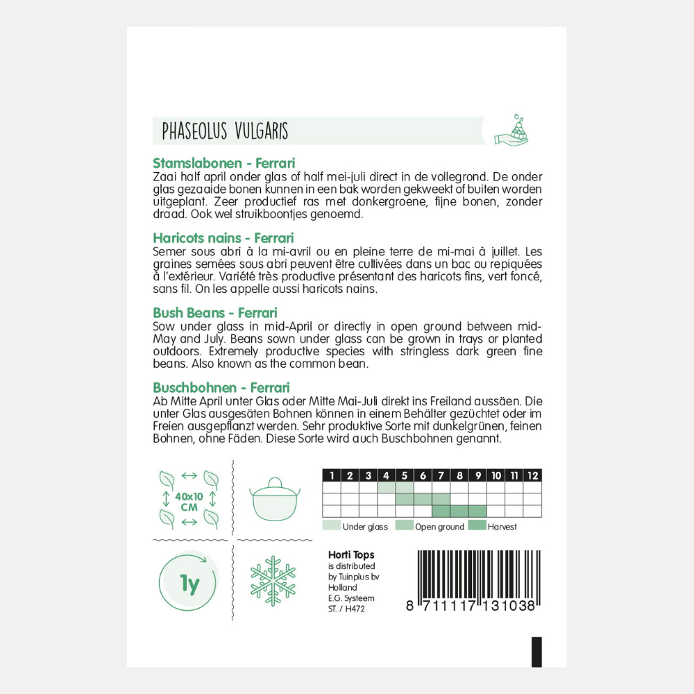 Bush Princess Beans 'Ferrari'