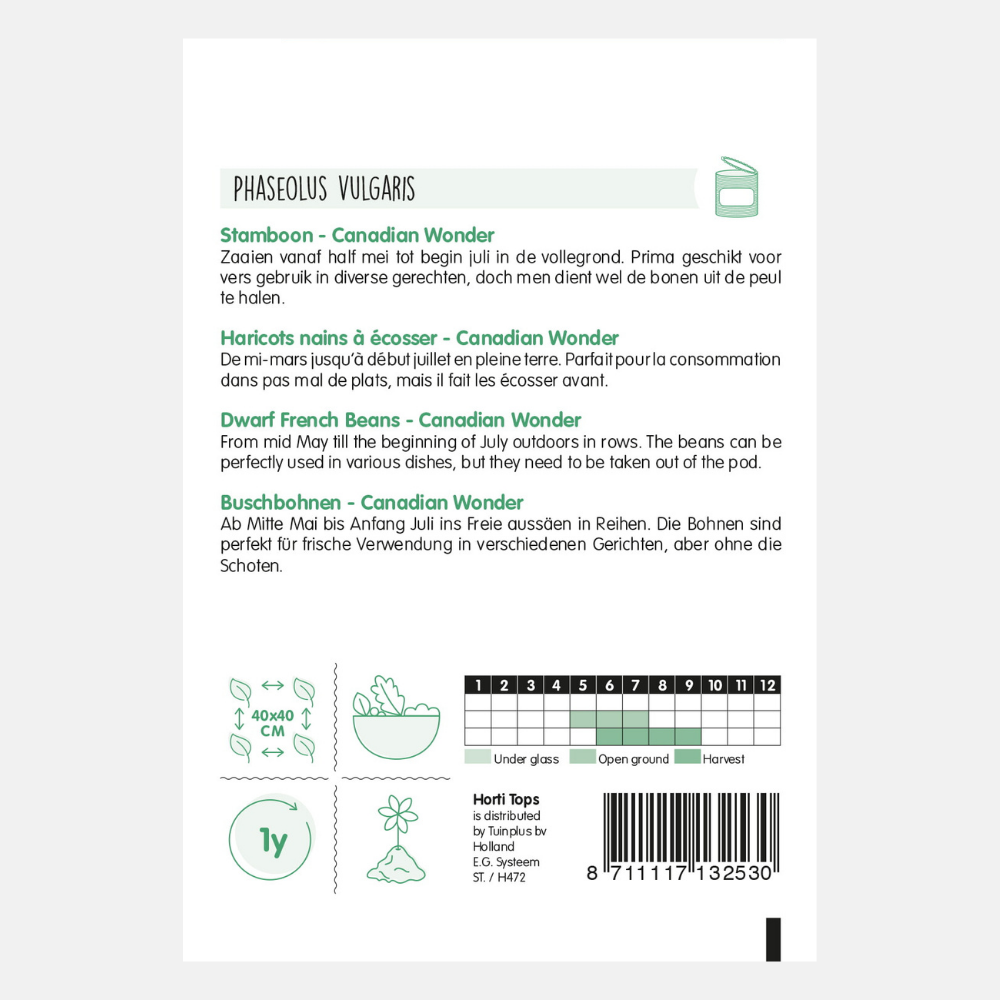 Bush beans 'Canadian Wonder' - kidney bean, bush bean