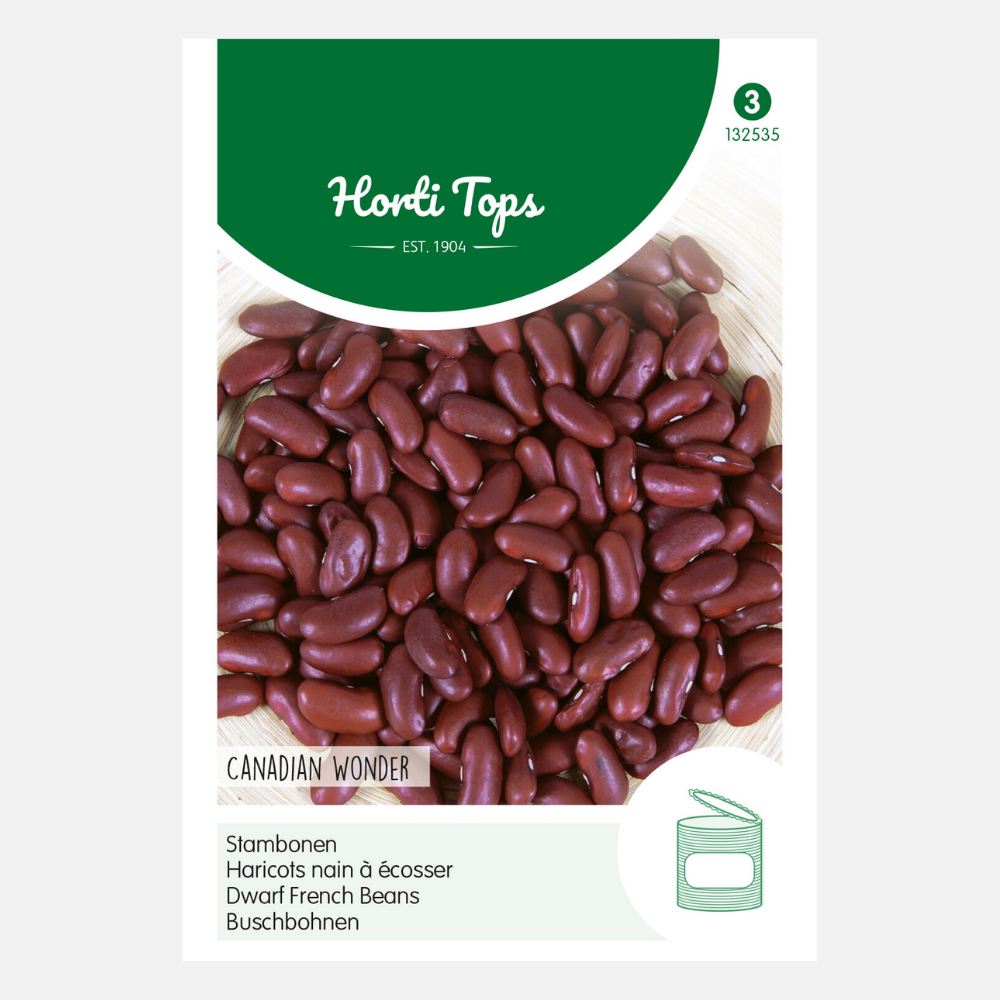 Bush beans 'Canadian Wonder' - kidney bean, bush bean