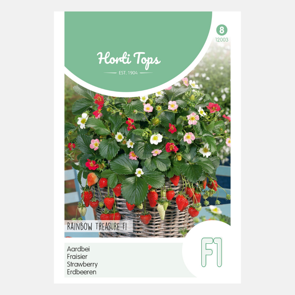 Fraisier 'Trésor' F1