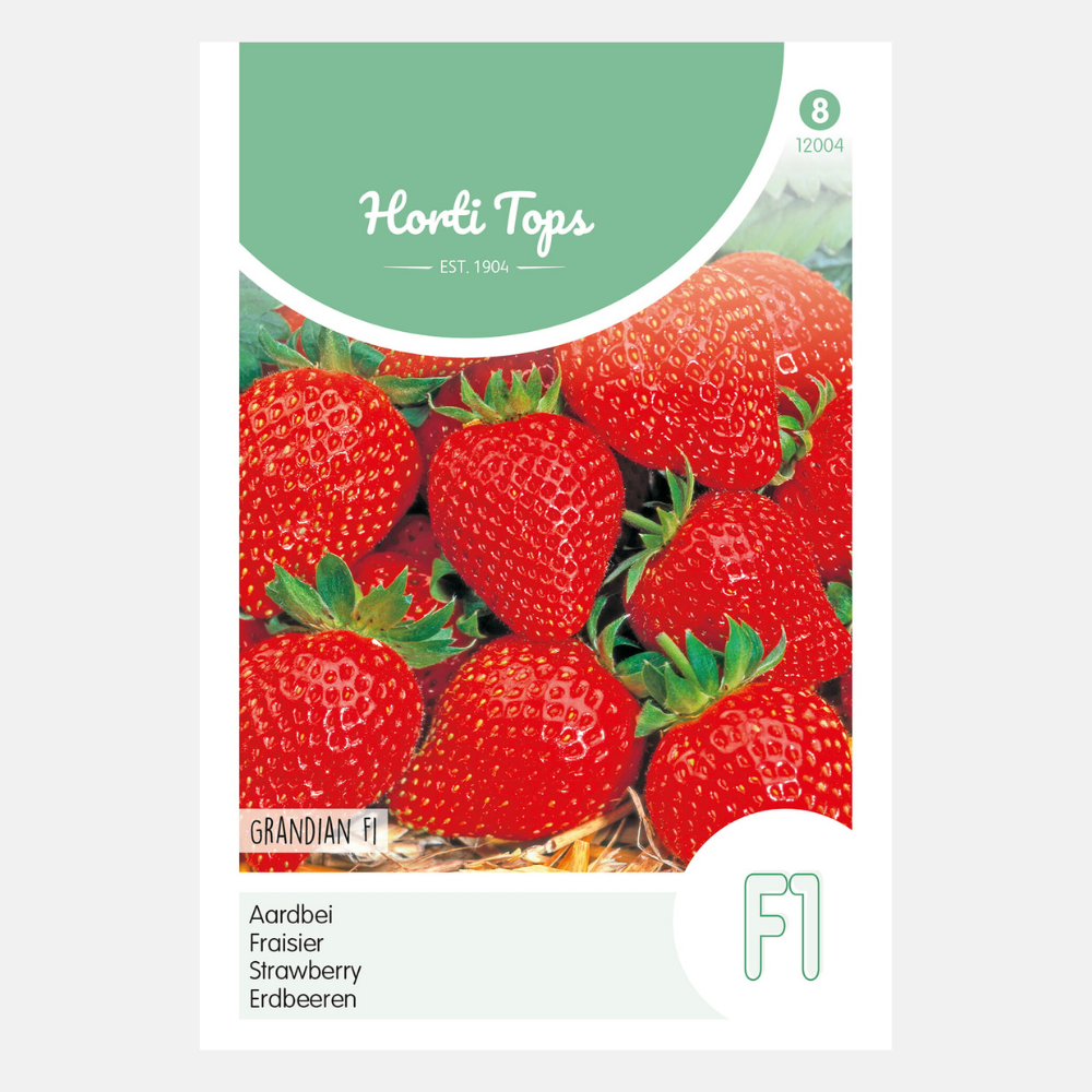 Aardbeien 'Grandian' F1