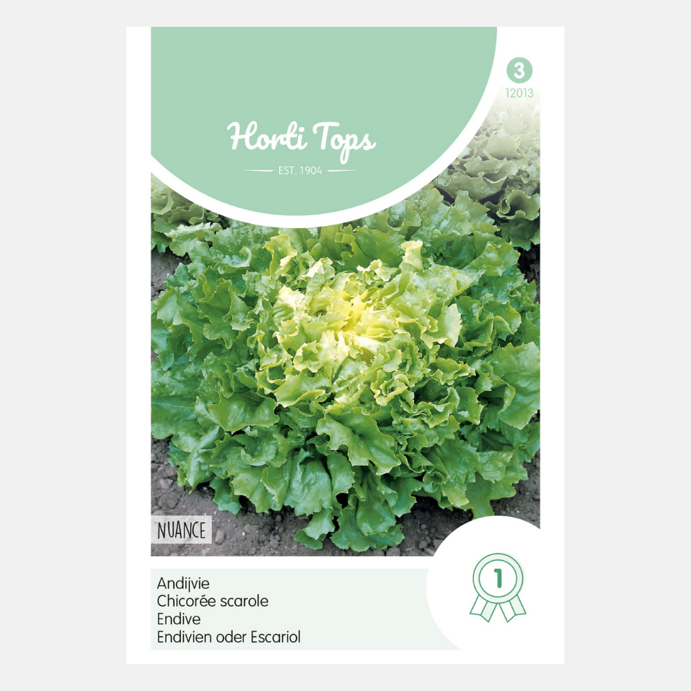 Endive 'Nuance'