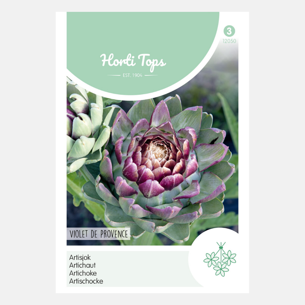 Artisjok 'Violet De Provence'