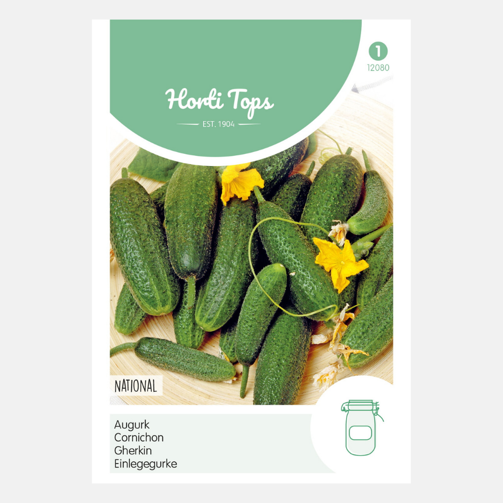 Augurken 'National'/'Kleine Groene'