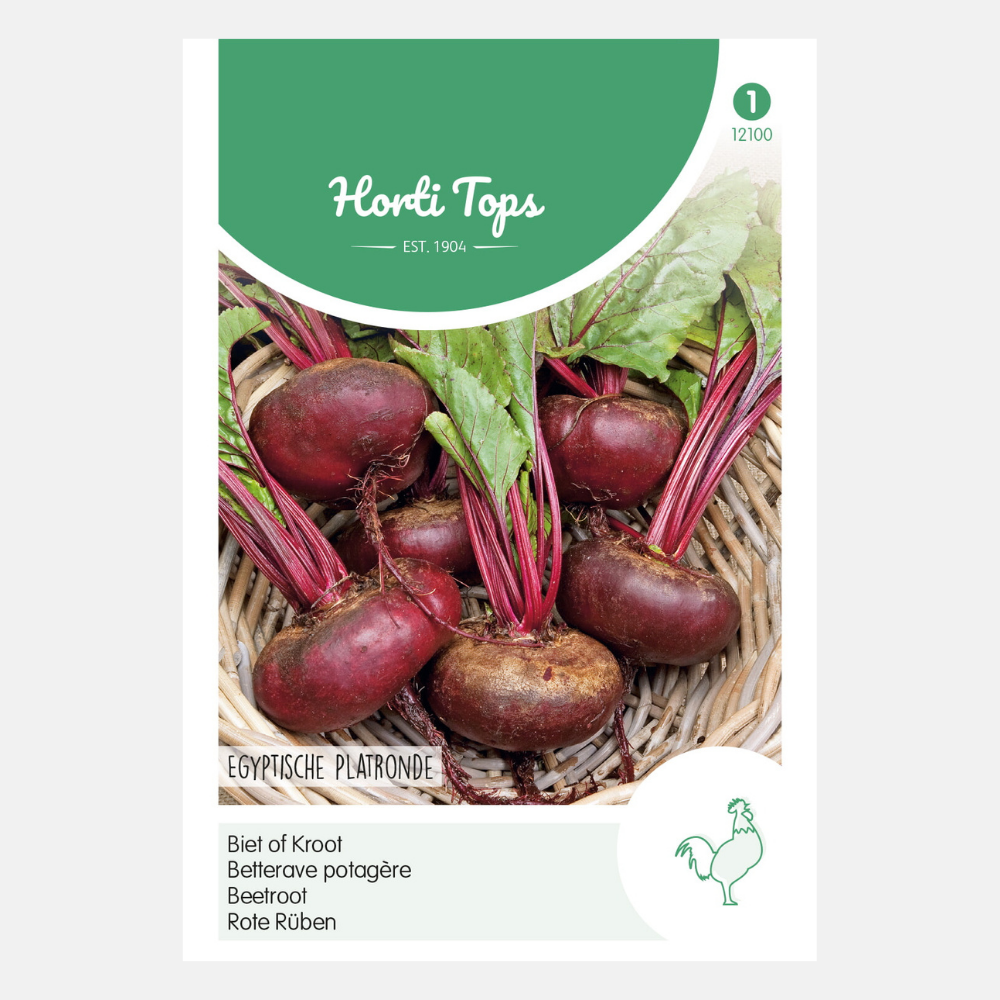 Red Beet 'Egyptian Flat Round'