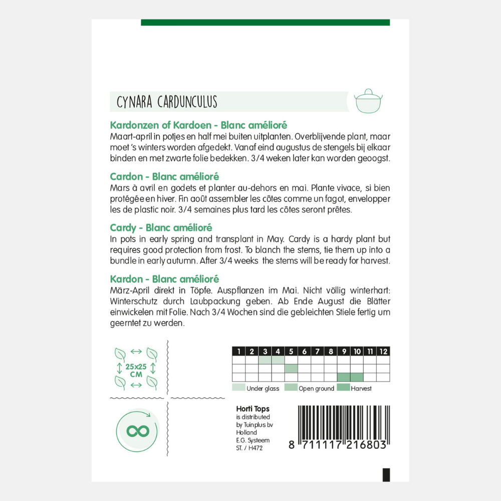 Cardon 'Blanc Amélioré'