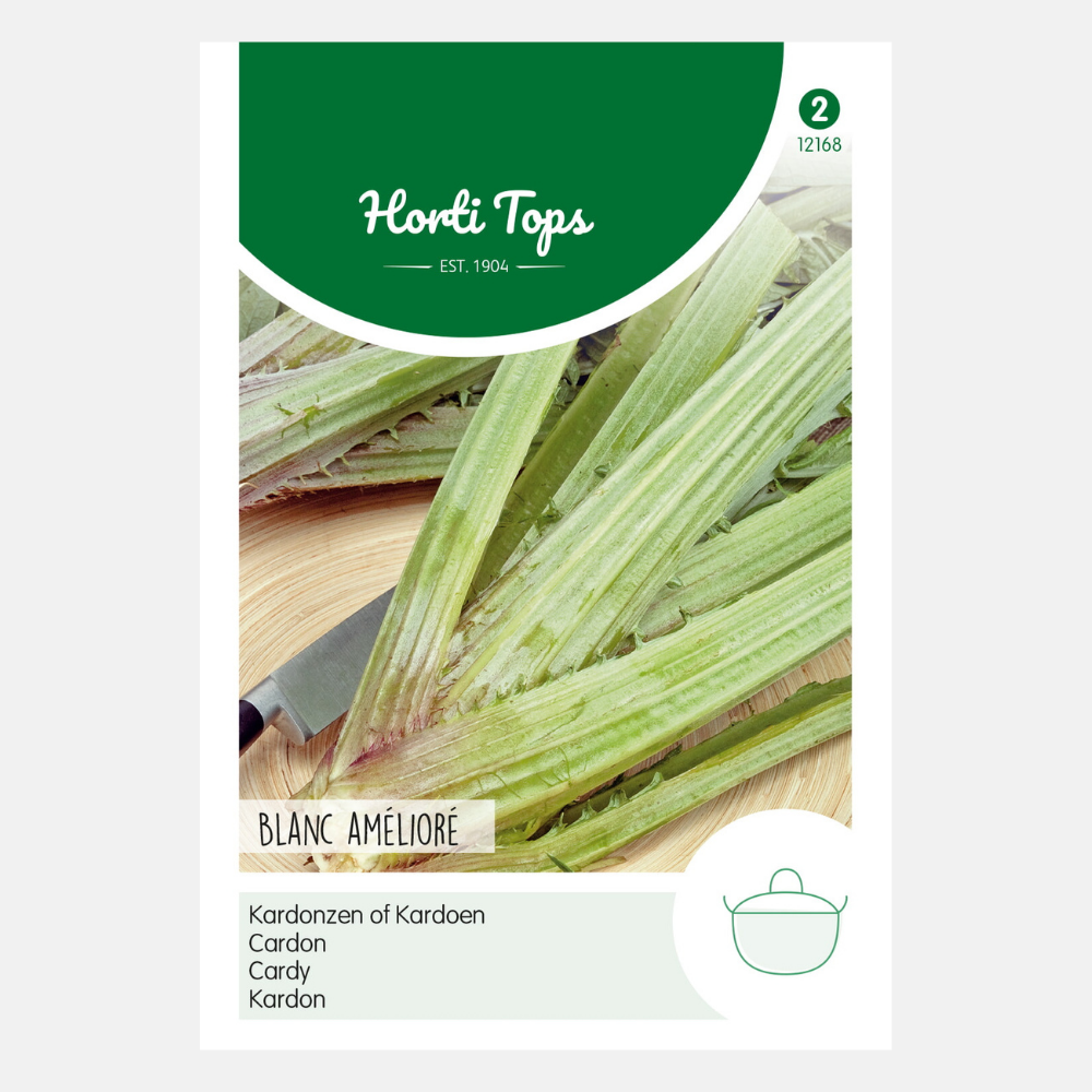 Cardon 'Blanc Amélioré'