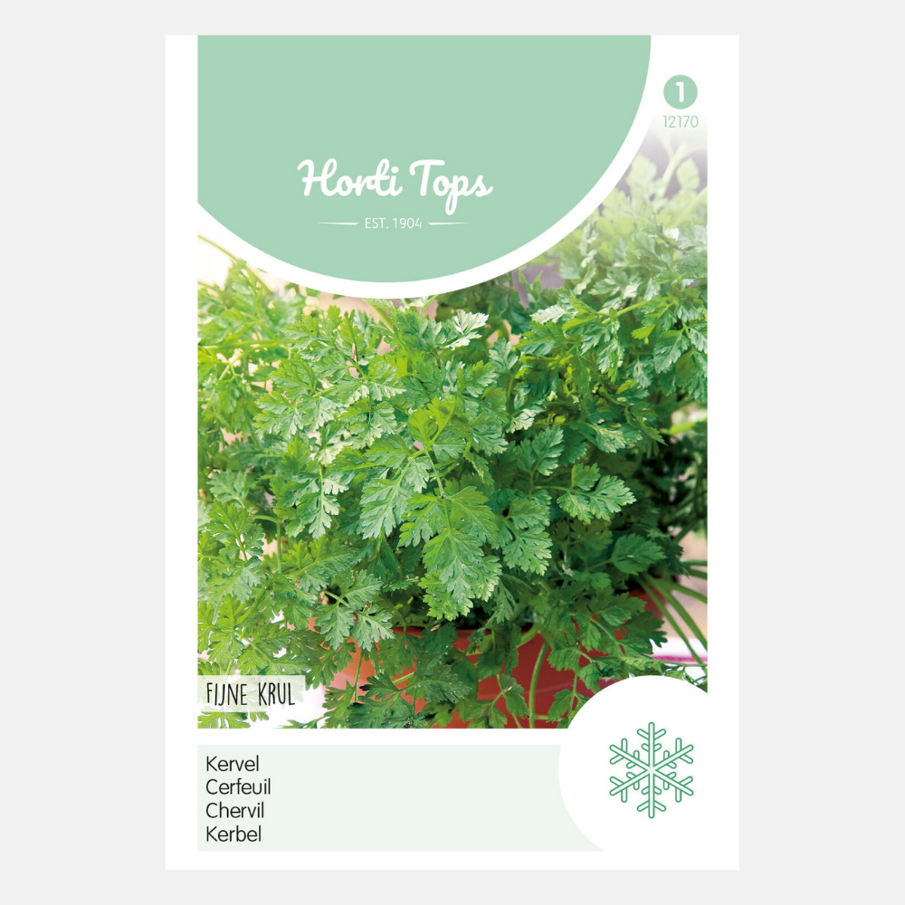 Chervil 'Fine Curl'