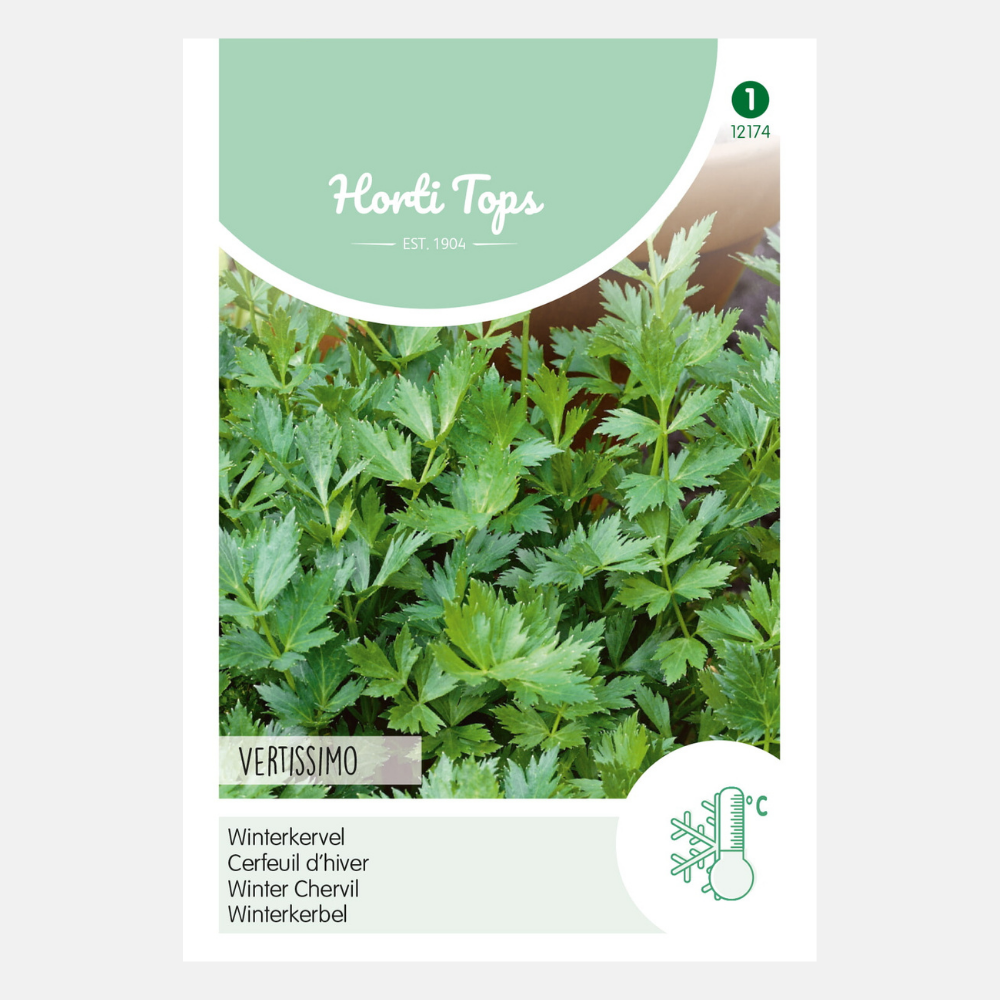 Kervel 'Vertissimo'/'Brusselse Winter'