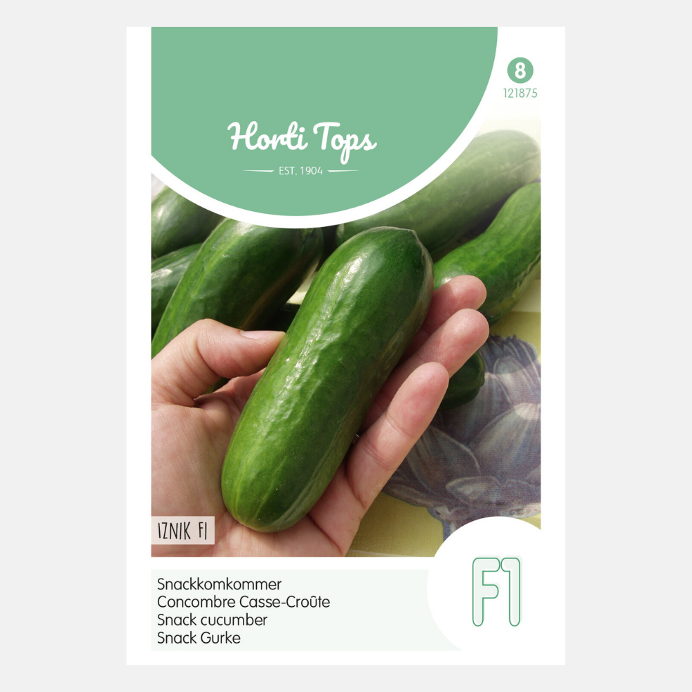 Snack cucumber 'Iznik' F1