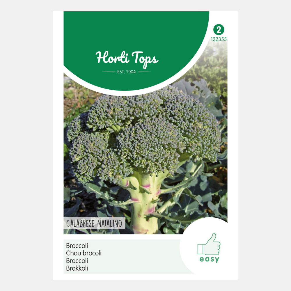 Brocoli 'Calabria'