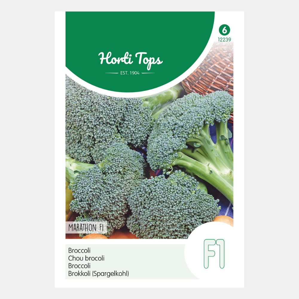 Brocoli 'Marathon' F1