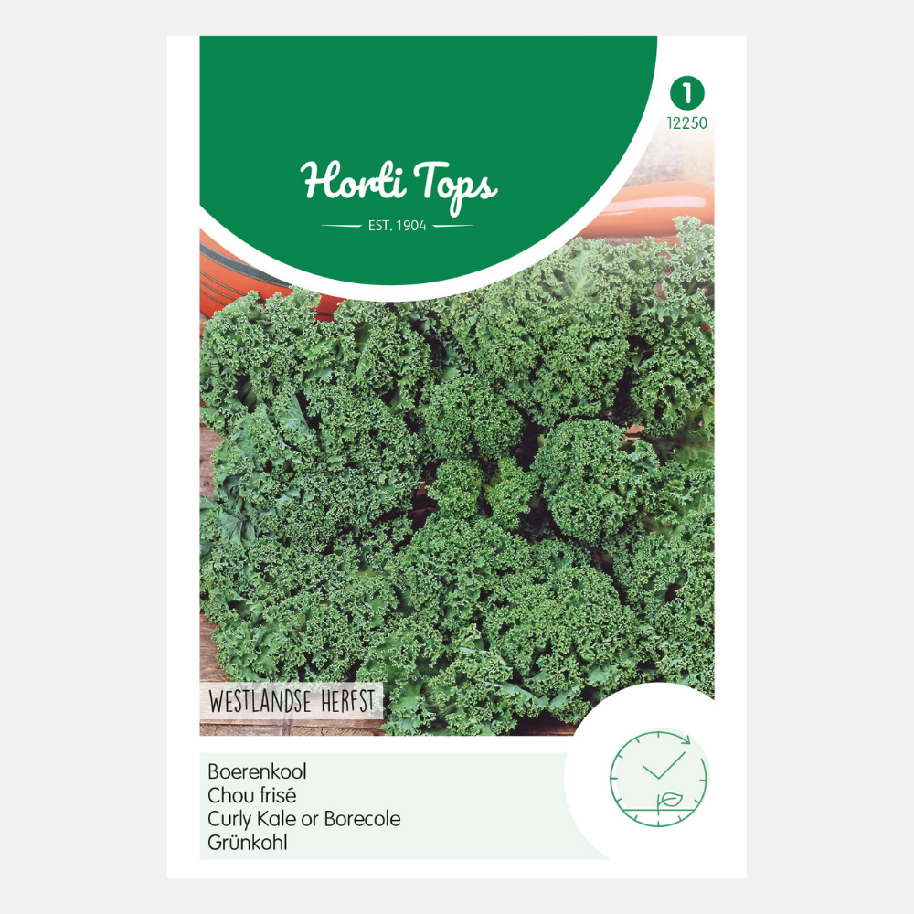 Chou frisé 'Westland Autumn'