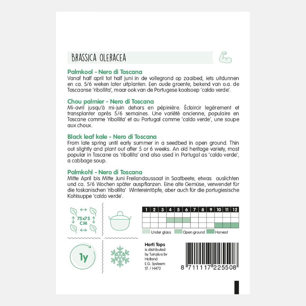 Chou frisé 'Nero di Toscane'