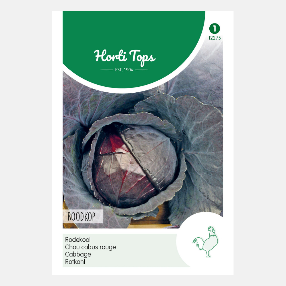 Chou rouge 'Roodkop'