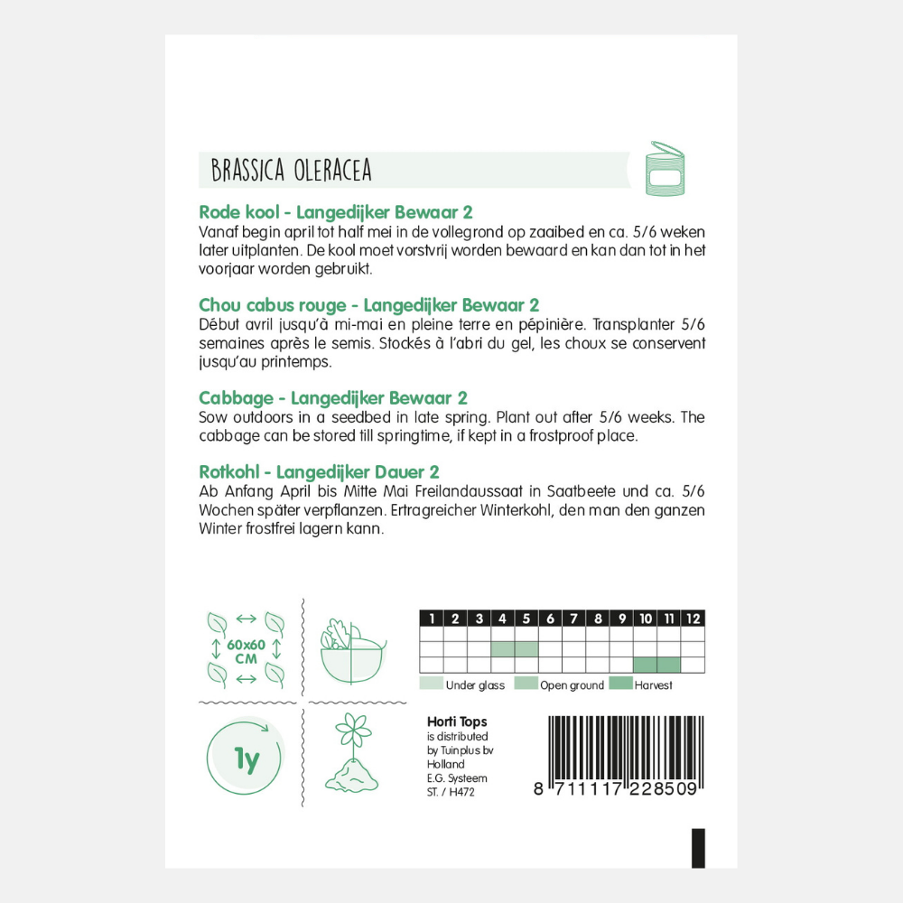 Chou rouge 'Langedijker Bewaar 2'